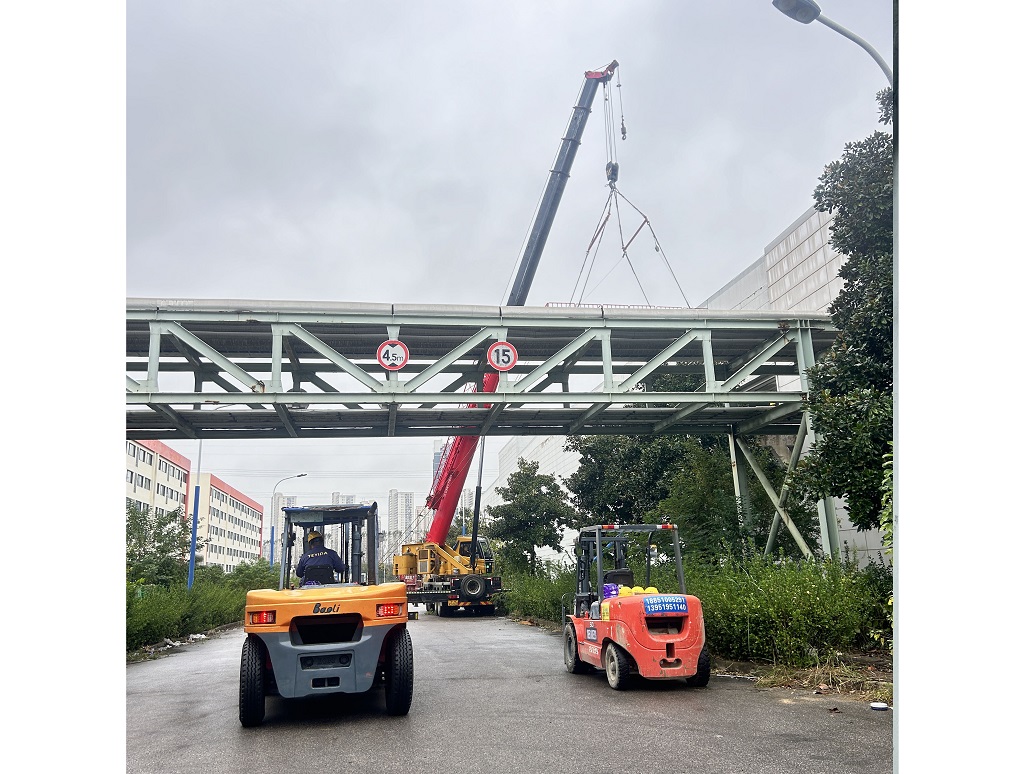 1747371295156497.jpg 9.jpg